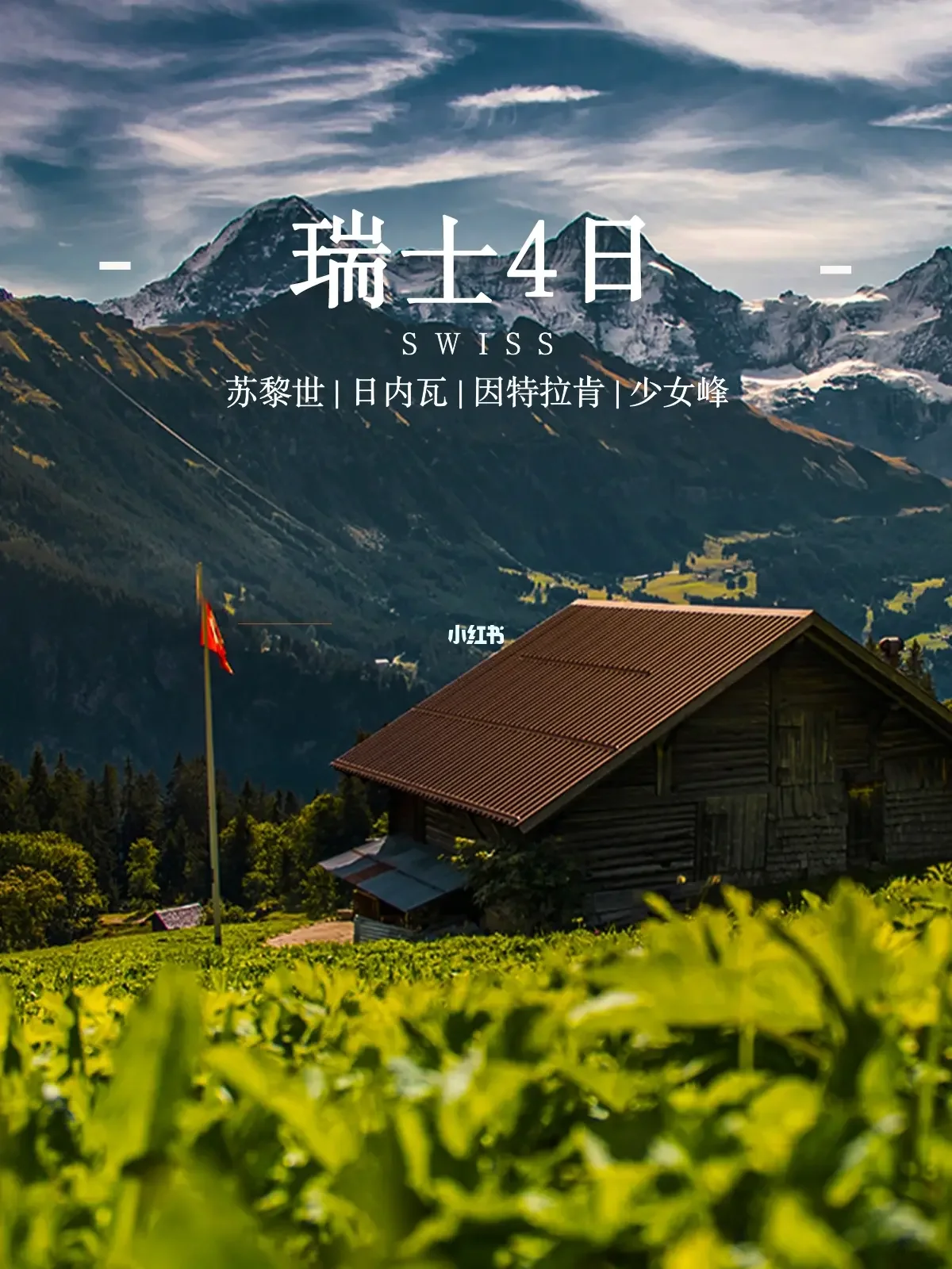 瑞士代表团士气高昂，力争卫冕