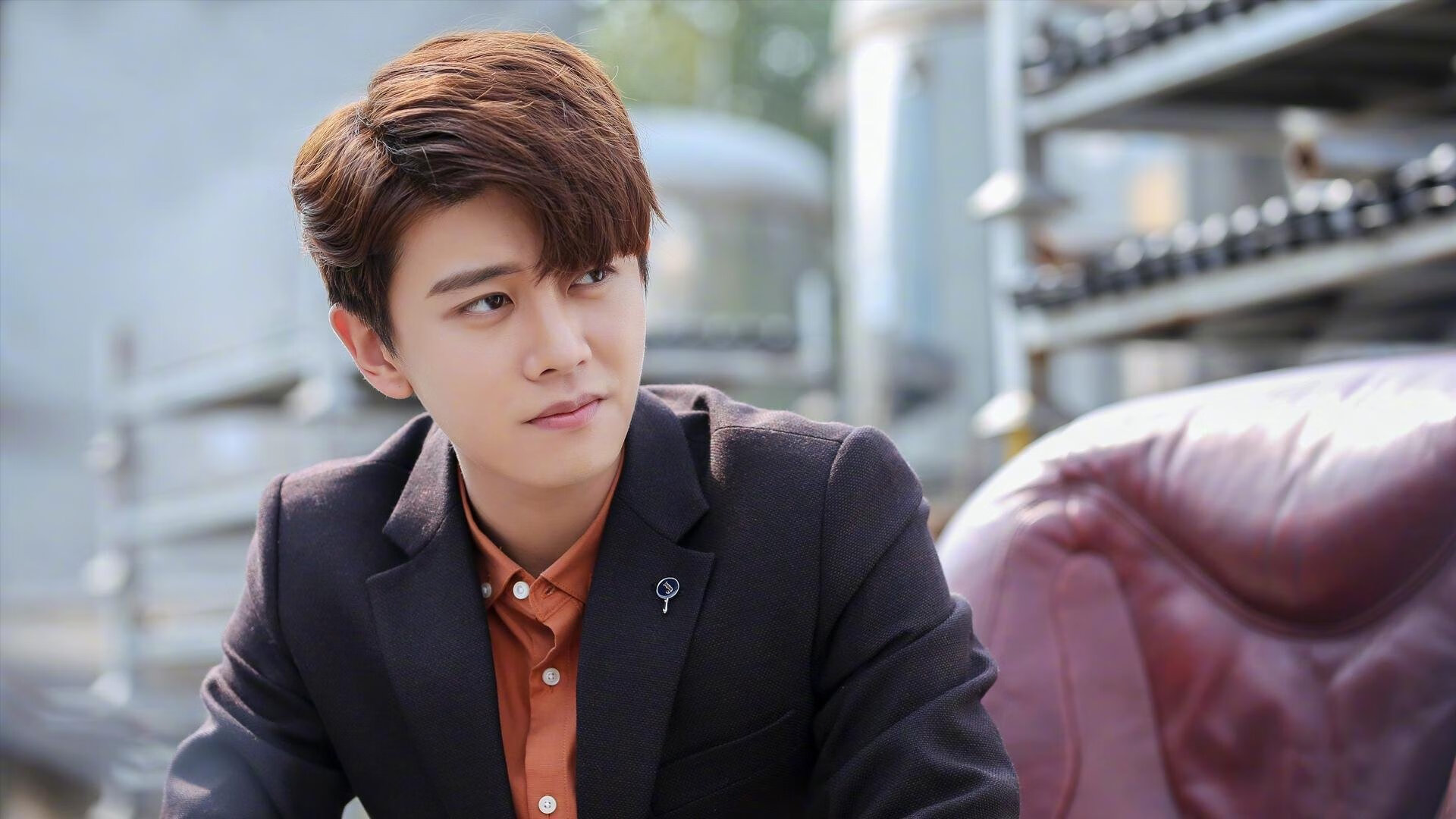 恩佐冠军级表现闪耀全场，奥地利力克冰岛展现战术韧性